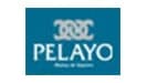 Pelayo